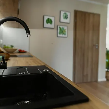 Willove Wzgorze アパート