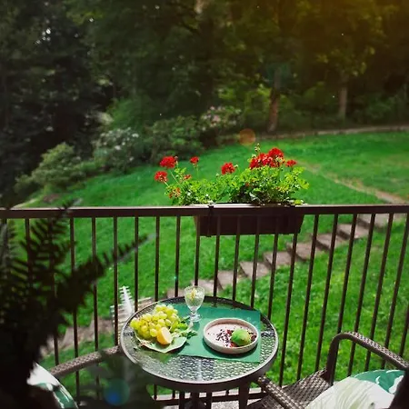 Willove Wzgorze Duszniki Zdrój