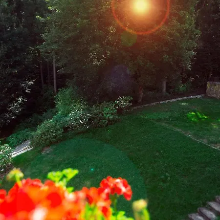 アパート Willove Wzgorze ドゥシュニキ・ズドルイ