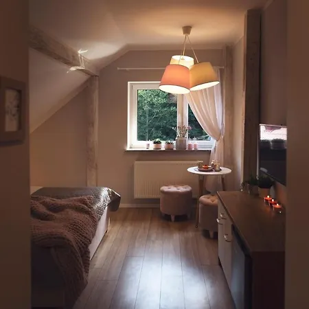 Willove Wzgorze アパート ドゥシュニキ・ズドルイ