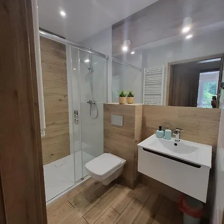 Apartment Willove Wzgorze *