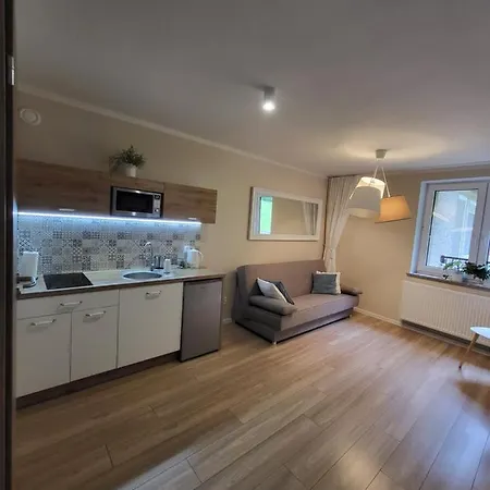 Willove Wzgorze Apartment