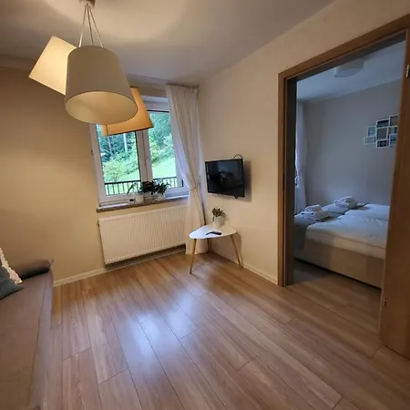 Willove Wzgorze ドゥシュニキ・ズドルイ