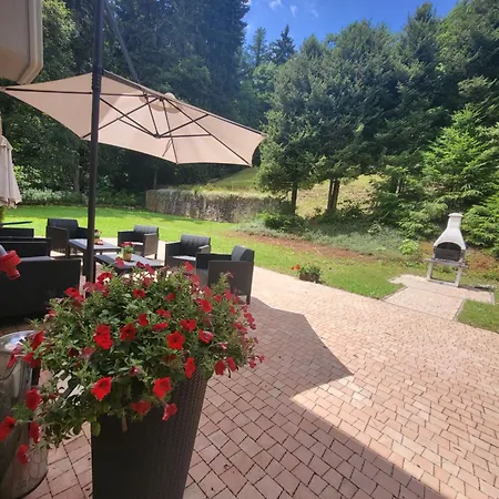 Willove Wzgorze * ドゥシュニキ・ズドルイ