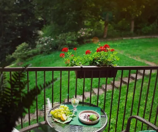 Willove Wzgorze Duszniki Zdroj