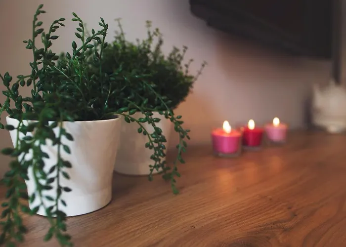 Willove Wzgórze * Duszniki Zdrój