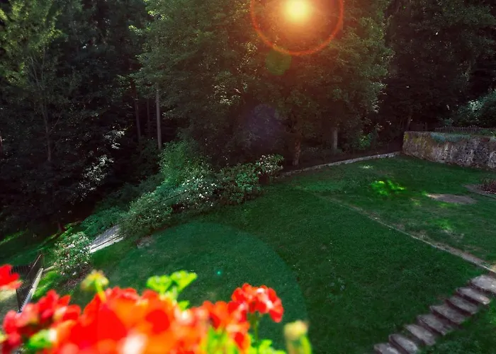 Apartament Willove Wzgórze Duszniki Zdrój