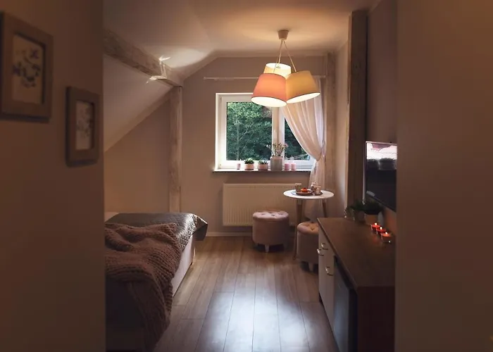 Willove Wzgorze Apartment Duszniki Zdroj