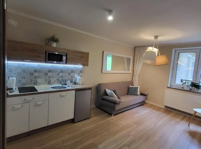 Willove Wzgorze Apartment