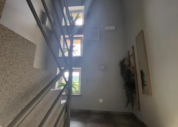 Willove Wzgorze Apartment