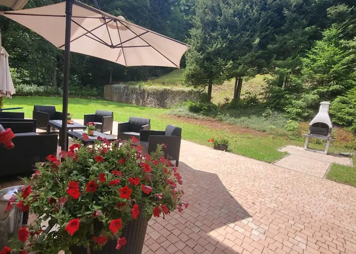 Willove Wzgórze * Duszniki Zdrój